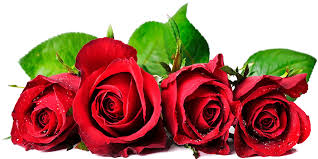 چرا صاد...